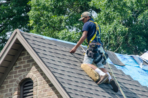 Best Roof Gutter Cleaning  in Farmington, UT